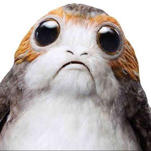 Meet your Posher, Paula